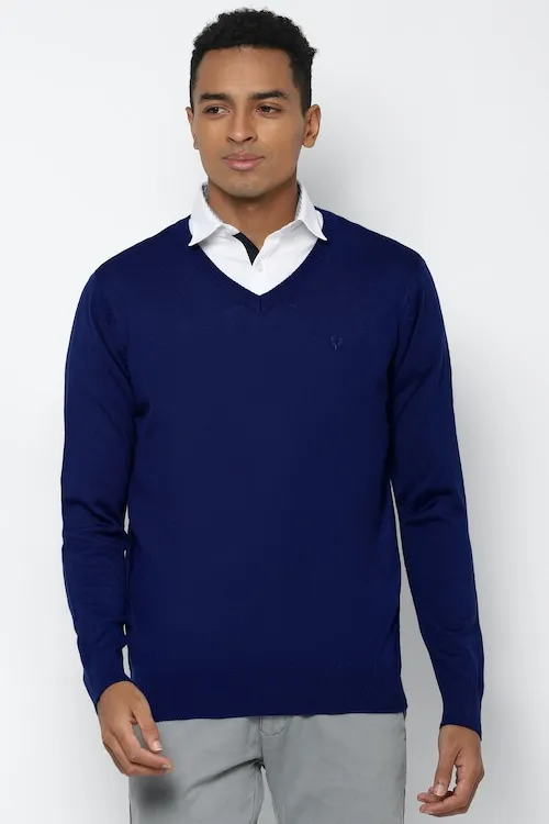 Men Blue Solid V Neck Full Sleeves Sweater