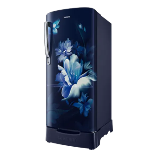 183L Stylish Grandé Design Single Door Refrigerator RR20D2825UZ