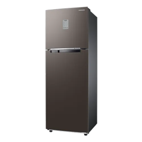 256L BESPOKE Double Door Refrigerator RT30CB732C2